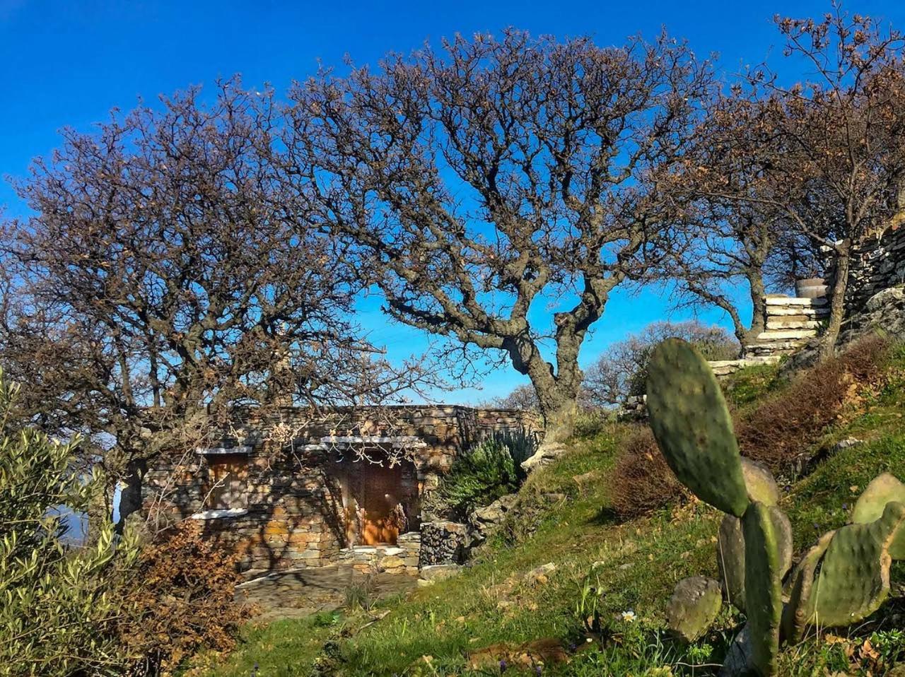 Under Royal Oaks Villa Pera Meria Eksteriør billede